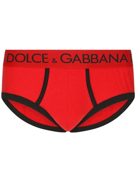 dolce & gabbana briefs|d&g website.